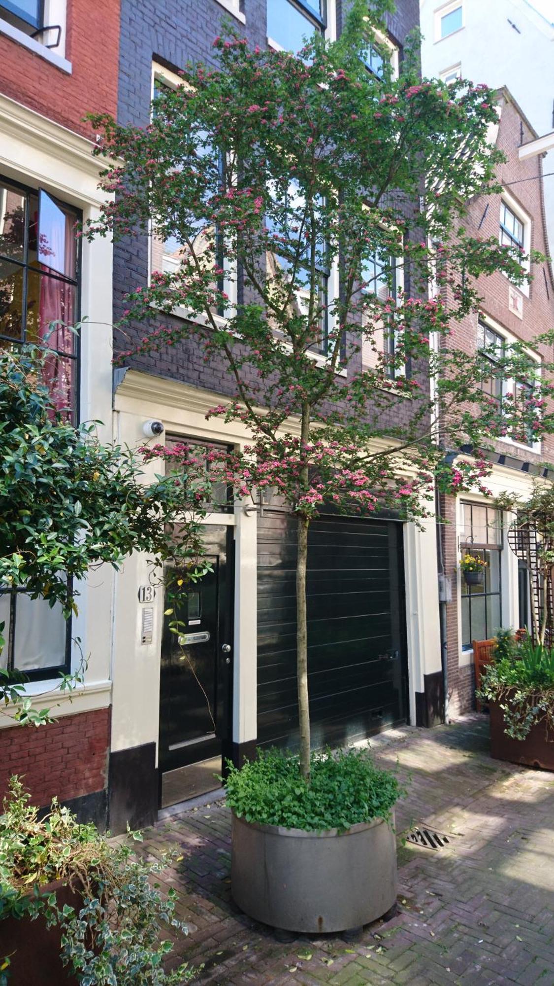 Huis Roomolen Amsterdam Eksteriør billede